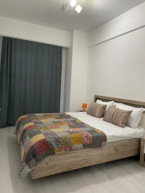Family Center Apartment